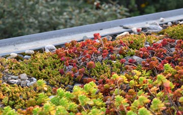 the cost of Wanborough green roof installation