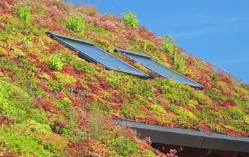 Wanborough living roof systems